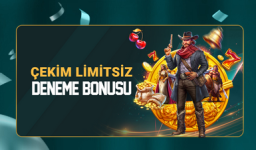 1756155845348.png 1756155845348.png