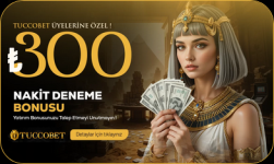 1756320198041.png 1756320198041.png