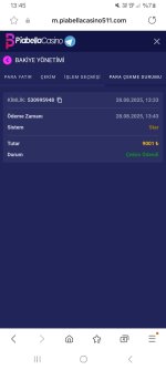 Screenshot_20250828_134529_Samsung Internet.jpg