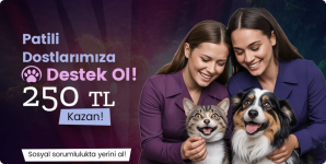 1756735384038.png 1756735384038.png