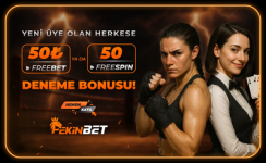 1756987211155.png 1756987211155.png