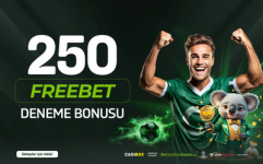 1757020693758.png 1757020693758.png