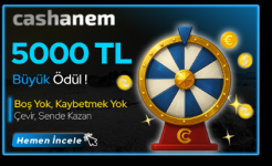 1758238296432.png 1758238296432.png