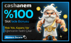 1758238740606.png 1758238740606.png