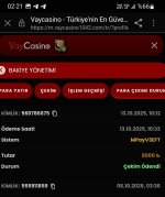 Screenshot_20251014-022125_Samsung Internet.jpg