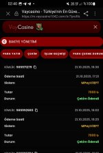 Screenshot_20251022-024005_Samsung Internet.jpg