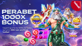 1761099221667.png 1761099221667.png