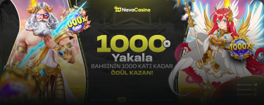 1762873687105.png 1762873687105.png