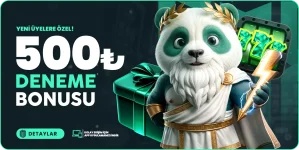 1765331135847.webp 1765331135847.webp